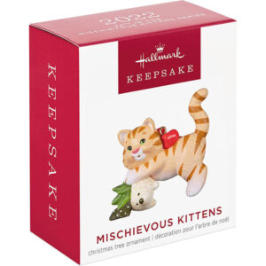 Mischievous Kittens Tabby box